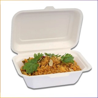 5" x 7.5" - Bagasse Takeaway Food / Lunch Boxes (HB9) - 600ml - 1 Compartment
