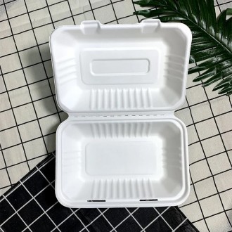 9" x 6" - Bagasse Takeaway Food / Lunch Boxes (HB10) - 1 Compartment