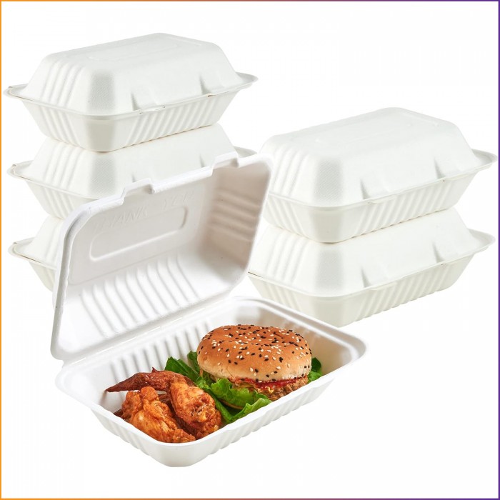 9" x 6" - Bagasse Takeaway Food / Lunch Boxes (HB10) - 1 Compartment