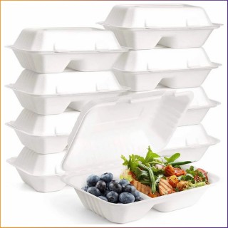 9" x 6" - Bagasse Takeaway Food / Lunch Boxes (HB10) - 2 Compartments