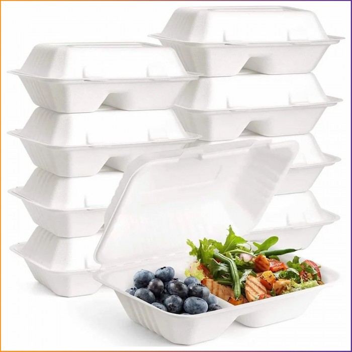 9" x 6" - Bagasse Takeaway Food / Lunch Boxes (HB10) - 2 Compartments