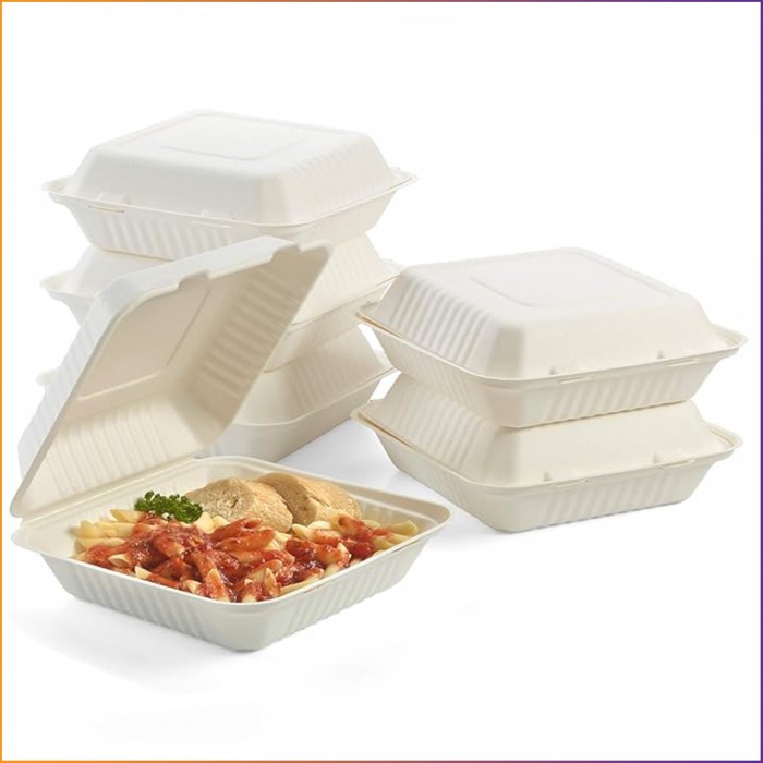 9" x 9" - Bagasse Takeaway Food / Lunch Boxes (MP1) - 1500ml - 1 Compartment