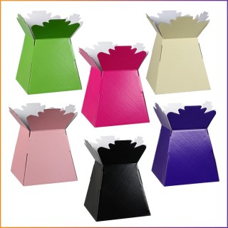 30 x Bouquet Living Vases (Mixed Colours) 30 x Bouquet Living Vases (Mixed Colours)