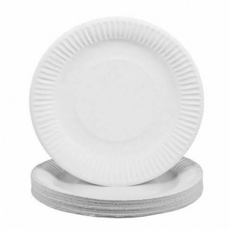 9" (23cm) White Disposable Paper Plates (100 per Pack)