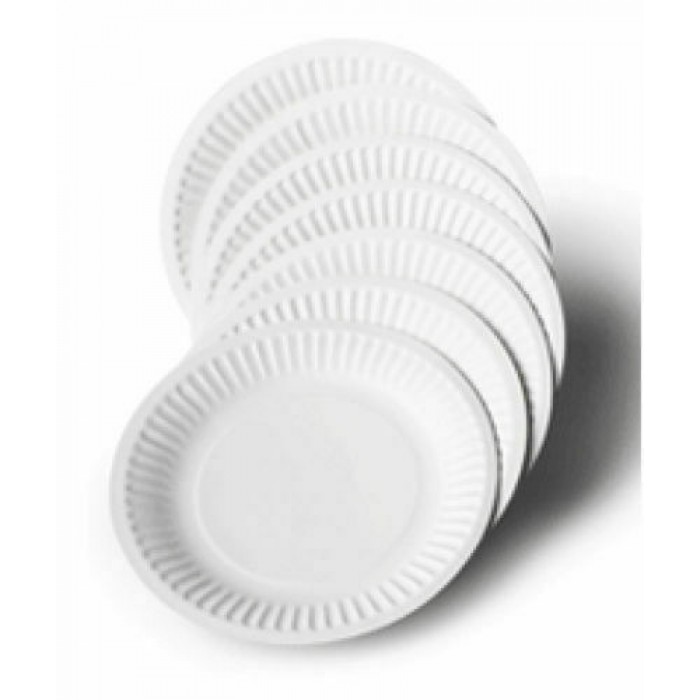 9" (23cm) White Disposable Paper Plates (100 per Pack)