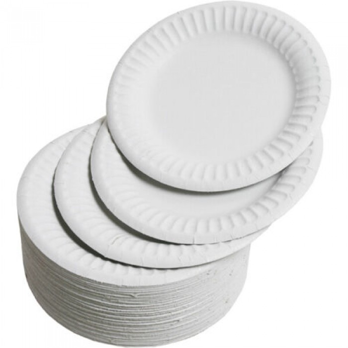 9" (23cm) White Disposable Paper Plates (100 per Pack)